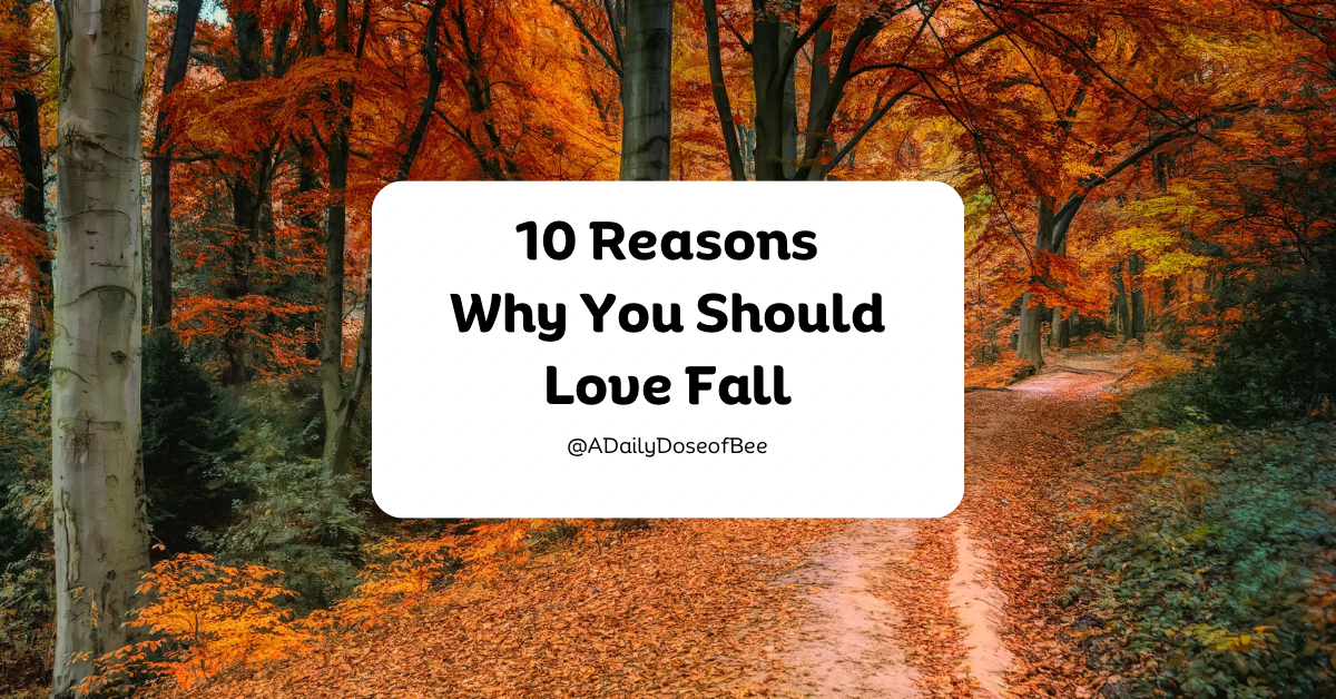 10 Reasons Why You Should Love Fall